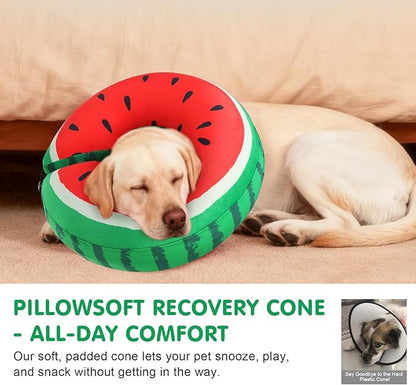 BEAUTYZOO Inflatable Dog Cone Collar to Stop Licking for Large Medium Small Dogs,Soft Dog Cone Alternative After Surgery,Comfortable Pet Recovery Collar&Cone Elizabethan Dog Neck Donut,Watermelon XL