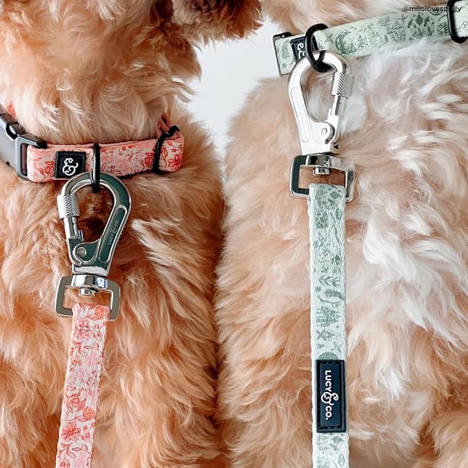 Lucy & Co. 5 Foot Designer Dog Leash for Small, Medium or Big Dogs or Puppies Puppy – Pet Accessories & Supplies- Small-Green Outdoor Plaid
