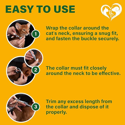 Natural Flea & Tick Collar for Cats - 6 Months Control of Best Prevention & Safe Treatment - Anti Fleas and Ticks Essential Oil Repellent (1 Pack)