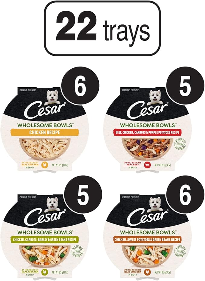 Cesar Wholesome Bowls Adult Wet Dog Food,Variety Pack,Wet Food for Dogs,3 Oz. Bowls,22 Count (Pack of 2)