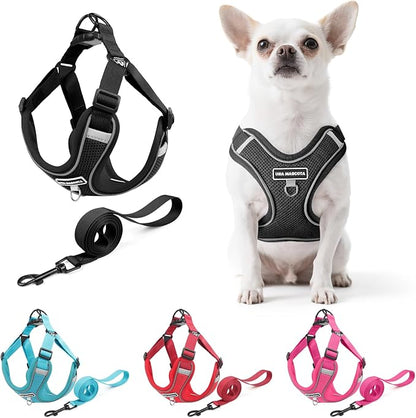 Dog Harness and Leash Set, Adjustable Triangle, Reflective Adjustable Puppy Vest, No Pull Soft Mesh Harness for Small, Medium Dogs, Cats (Black, M)