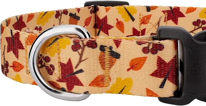 Country Brook Petz - Fall Foliage Everyday Dog Collar and Leash - Awesome Autumn Collection Featuring Designs You Will Fall for (1/2 Inch, Extra Small)