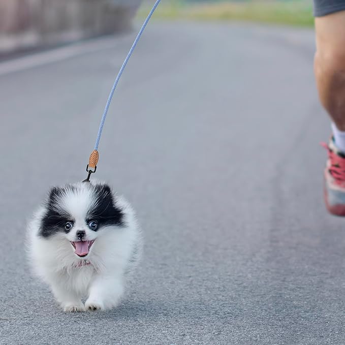 Mile High Life Small Dog Leash, Thin Rope Leash with Genuine Leather Connection and Heavy Duty Metal Clasp, Great for Small Medium Dogs(Blue White,48 Inch-1/3)