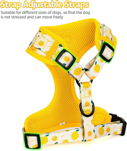 Dog Harness and Leash Set, Adjustable Dog Harness, Dog Leash, No Pull No Choke Puppy Harnesses for Walking Training for Small, Medium Pet (Lemon, S(Chest 13-19", Neck 9.5-13.1"))