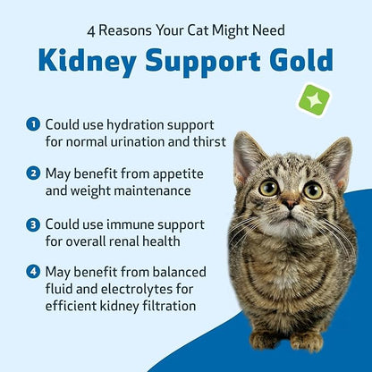 Pet Wellbeing Kidney Support Gold for Cats - Supports Normal Kidney Function & Detox, Healthy Hydration & Energy with Rehmannia & Dong Quai - NASC Certified & Vet-Formulated - 2oz Liquid Formula