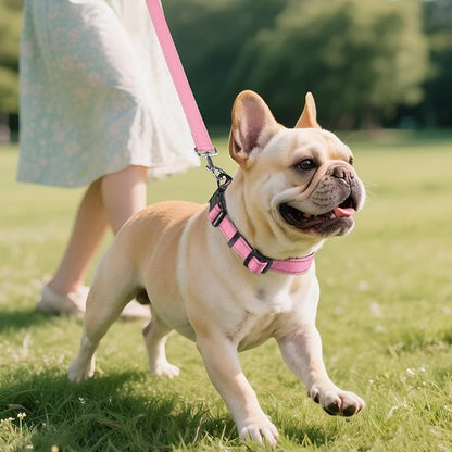 Joytale Reflective Dog Collar, Soft Neoprene Padded, Metal D-Ring, Nylon Pet Collar Adjustable for Medium Dogs, Pink, M