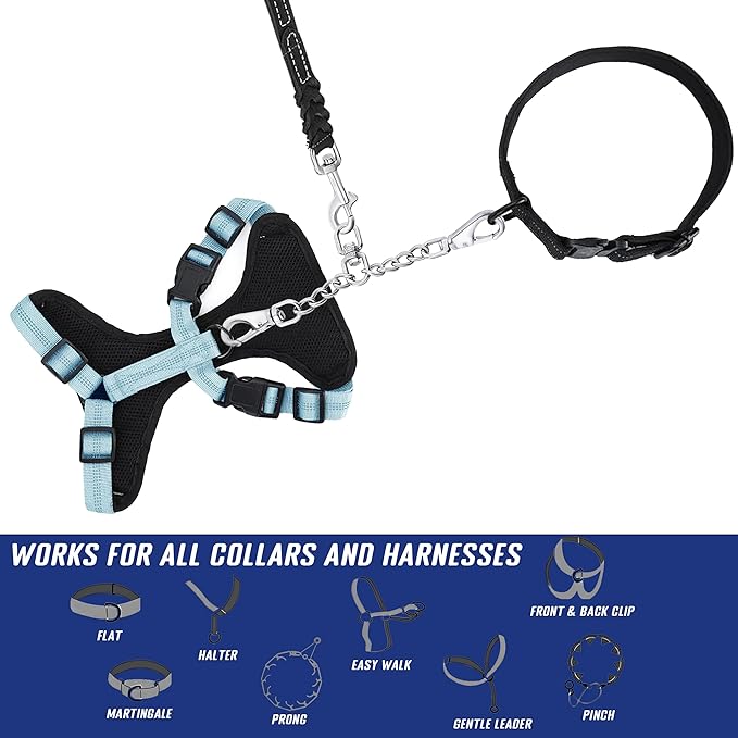 DEYACE Leash Backup with Dual Clasps Prong Collar Safety Clip Stainless Steel Dog Safety Clip Collars and No Pull Harness Connectors