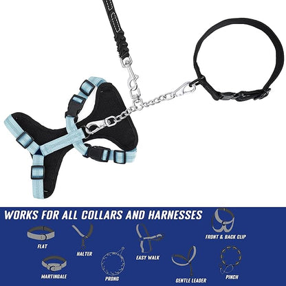 DEYACE Leash Backup with Dual Clasps Prong Collar Safety Clip Stainless Steel Dog Safety Clip Collars and No Pull Harness Connectors