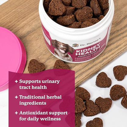 Dr. Harvey’s Kidney Support Soft Chews for Dogs, Renal & Urinary Tract Health Supplement with Turkey Tail Mushroom, 90 Chews