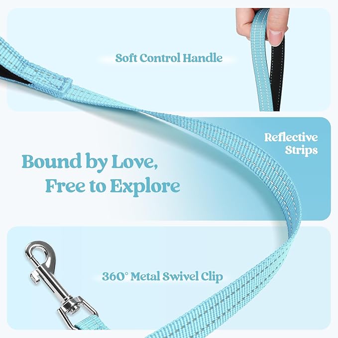 rabbitgoo Dog Harness Small Sized and Leash Set, Step in Soft Light Puppy Vest, Breathable Mesh Pet Harness, Reflective for Safe Easy Walking, Mint Blue XXXS