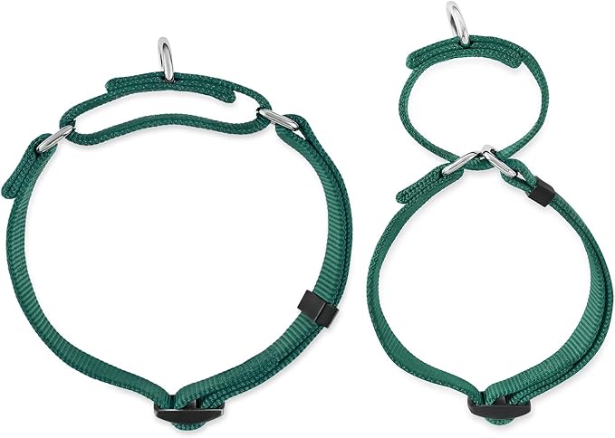 Hyhug Martingale Collar for Dogs Small Green |Escape - Proof Heavy Duty Nylon Durable No Buckle, Ideal for Training & Daily Walks