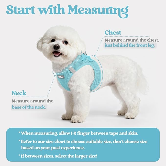 rabbitgoo Dog Harness Small Medium Sized and Leash Set, Step in Soft Light Puppy Vest, Breathable Mesh Pet Harness, Reflective for Safe Easy Walking, Mint Blue XL
