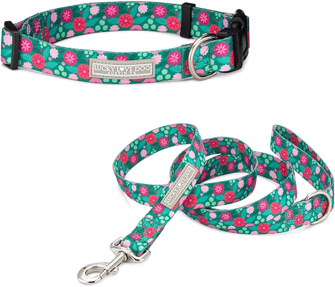 Lucky Love Dog - Adjustable Dog Collar and Leash Set with Easy Click Buckle for Medium Dogs, Durable, & Comfortable Collar for Male & Female Dogs, Puppies & Adult Ones - Penny Combo, Medium