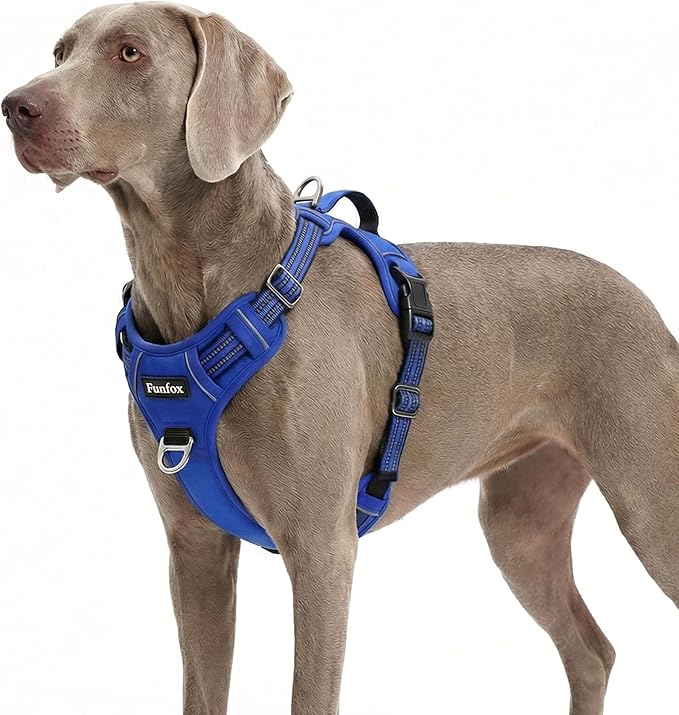 Funfox Dog Harness No Pull, Adjustable Pet Vest Harness, Super Soft Material with Vertical Handle Easy Control, Reflective Night Walking, 2 Leash Clips for XLarge Dogs, Blue, XL