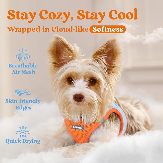 rabbitgoo Small Dog Harness, Step-in Soft Mesh Puppy Vest with Safety Buckle, Breathable Reflective Pet Harness for Extra Small Dogs, Blue & Orange XXXS