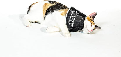 All Four Paws Comfy Cone Pet Cone for Dogs, Cats, Small, Black - Comfortable Soft Dog Cone Collar Alternative for After Surgery, Wound Care, Spay, Neuter - Dog and Cat Recovery Elizabethan-Collar