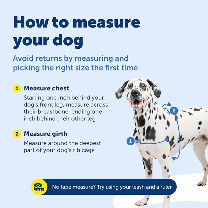 PetSafe Deluxe Easy Walk Harness - Trainer-Trusted Dog Chest Harness with Breathable Martingale Loop Design - Helps Stop Pulling with No Choking & Gagging - Small - Steel