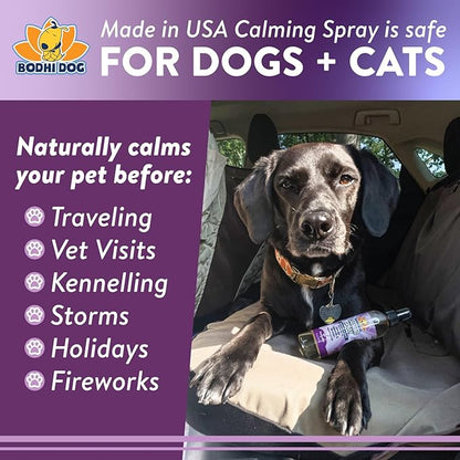Bodhi Dog Calming Spray for Dogs & Cats - Natural Dog Anxiety Relief for Travel, Fireworks & Vet - Cat Calming Spray & Detangler with Lavender - Made in USA (8 oz)