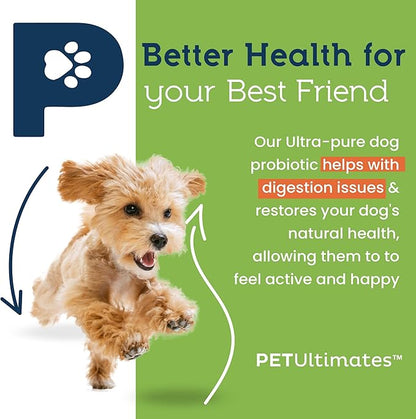 Pet Ultimates Pet Probiotics for Dogs (137g/120 Servings) – 22-Species Dog Probiotics Powder – Daily Skin and Coat Supplement for Dogs with Digestive Enzymes for Gut Health & Seasonal Comfort