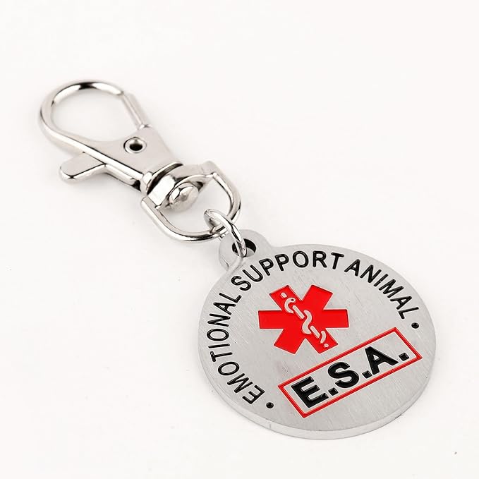 Service Dog Collar & Emotional Support Animal (ESA) Collar with Metal ID Tag + 3 Information Cards – Adjustable Heavy-Duty Nylon | ALL ACCESS CANINE
