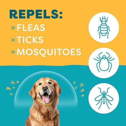 Only Natural Pet EasyDefense Flea & Tick Dog Collar - Canine Flea Control Collars - One Size Fits All - Pet Care That Protects up to 4 Months - for Dogs (2 Packs)