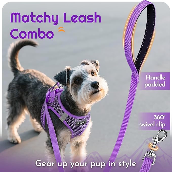 Eagloo Small Dog Harness and Leash Set, Step in Puppy Vest with Breathable Soft Mesh, Walking Reflective Pet Harness for Small Dogs, Purple, L