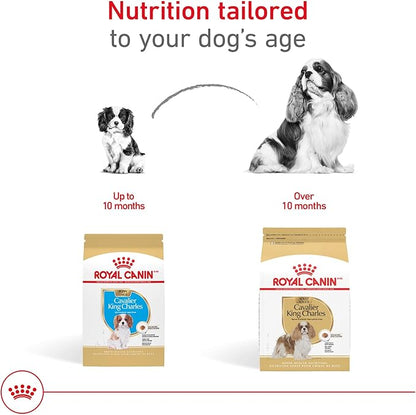Royal Canin Breed Health Nutrition Cavalier King Charles Spaniel Adult Dry Dog Food, 10 lb Bag