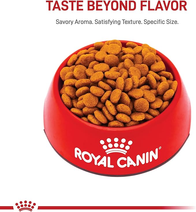 Royal Canin Size Health Nutrition Medium Adult Dry Dog Food, 40 lb Bag