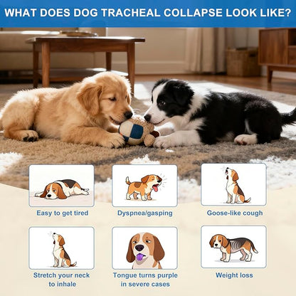 Trachea Support for Dogs, Collapsed Trachea Treatment for Dogs, Herbal Supplements Promote Smooth Breathing for Dog, Easy to Administer, Dog Supplements with Chicken Liver Flavor (4 OZ)