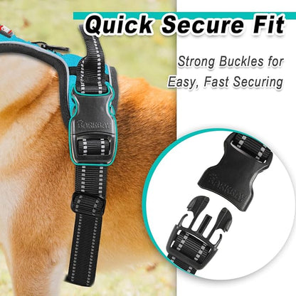 BARKBAY Dog Harness No Pull for Small Dogs - Adjustable, Reflective, Comfortable, No Choke, Heavy-Duty - Perfect for Outdoor Training, Walking, and Hiking - Strong & Durable - XS & Blue