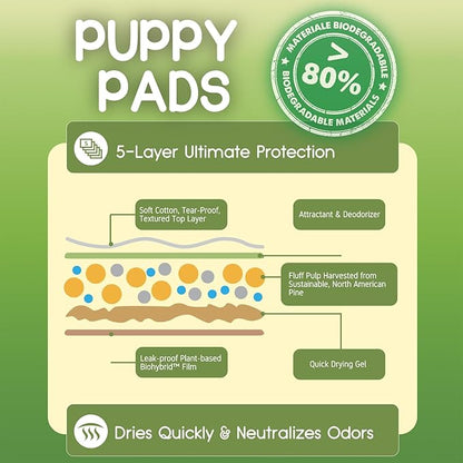 CROCI Puppy Pads 28x34in Green Wee Wee Pads for Dogs , Plant-Based Dogs Pads Extra Large Absorbs Up to 7 Cups of Liquid, 5-Layer Leak-Proof & Quick Drying, Disposable (40 Counts)