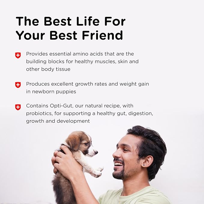 Nutri-Vet Milk Replacer For Puppies, Powdered Milk, Newborn Puppy Feeding, Dog Essentials, Dog Care, Veterinarian Recommended Dog Essentials, Whelping Supplies, Food Replacer, 12oz