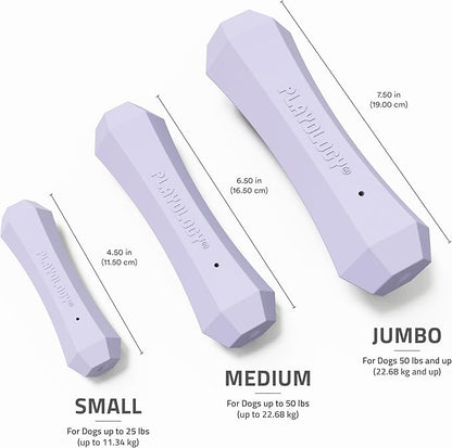 Playology Dog Toys | Durable Squeaky Chew Stick for Dogs | Medium Lamb Scented Toy - Easy to Clean and Made from Non Toxic Materials