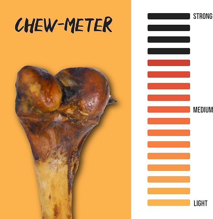 Grillerz Pork Femur Bone, 1 Count, Rawhide Free, All Natural Treat for All Breeds, Gluten Free, Long Lasting, Easy to Digest, For Adult Life Stages, Dog Chew for Healthy Teeth