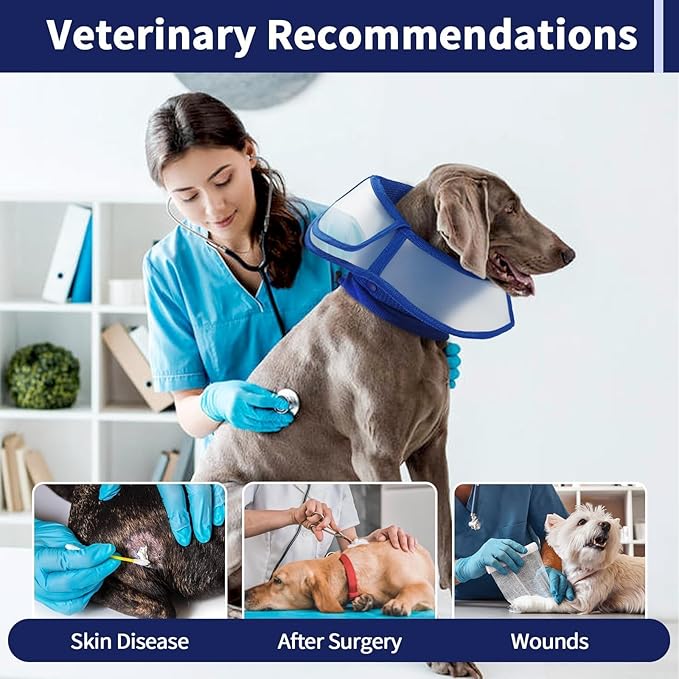 Allroaring Dog Cone Alternative, Soft Dog Cones for Large Dogs, Adjustable Doggie Recovery Cone Collar Comfy Pet Elizabethan Collars to Stop Licking for Wound Healing Care Spay Neuter, Blue L