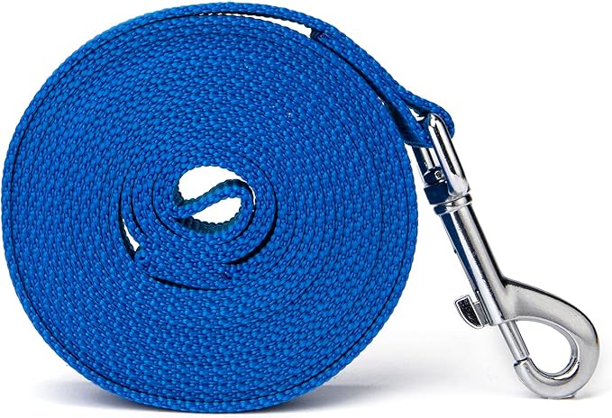 Strong Durable Nylon 15ft Long Dog Training Leash, Traction Rope, 1 Inch Wide, for Small and Medium Dog (Blue, 15 Feet)