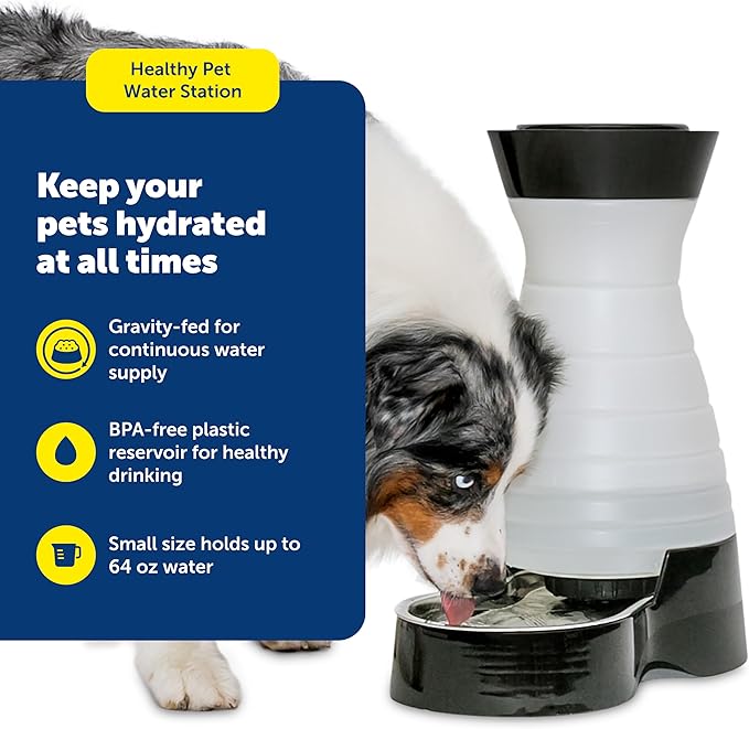 PetSafe Healthy Pet Water Station - Small, 64 oz Capacity - Gravity Pet Water Fountain, Automatic Cat Water Fountain, Dog Water Fountain, Water Dispenser - Removable Stainless Steel Bowl Included