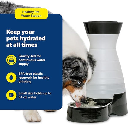 PetSafe Healthy Pet Water Station - Small, 64 oz Capacity - Gravity Pet Water Fountain, Automatic Cat Water Fountain, Dog Water Fountain, Water Dispenser - Removable Stainless Steel Bowl Included