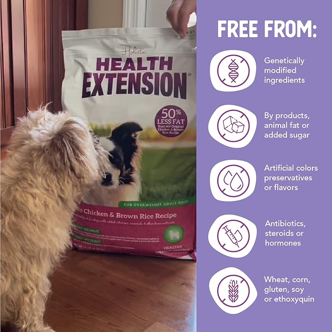 Health Extension Lite Chicken & Brown Rice Dry Dog Food, Low Fat Formula Supports Healthy Weight, with Probiotics & Superfoods for Digestion & Coat Health (4 lb)