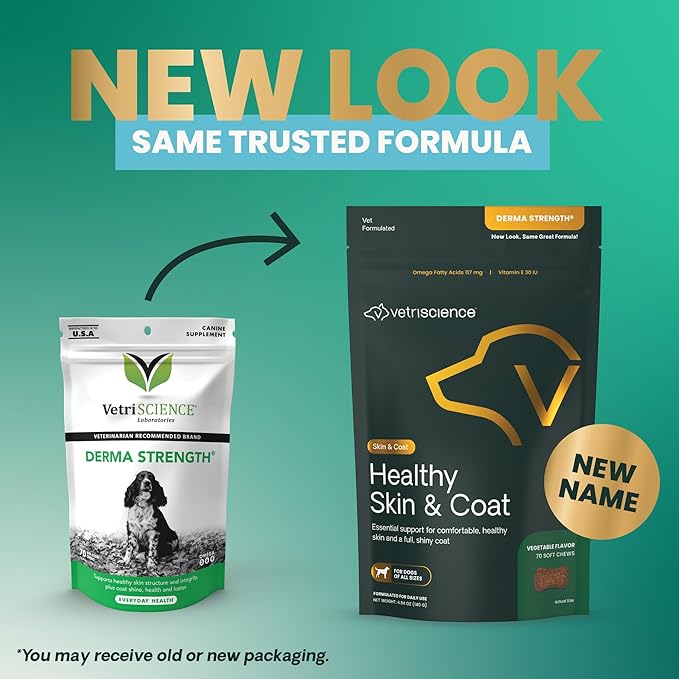 VetriScience Healthy Skin & Coat Chews, Derma Strength Omega-3 Salmon Oil Supplement for Dogs, Omega Skin and Coat Chews, Skin Health, Coat Growth, Veggie, 70 Count