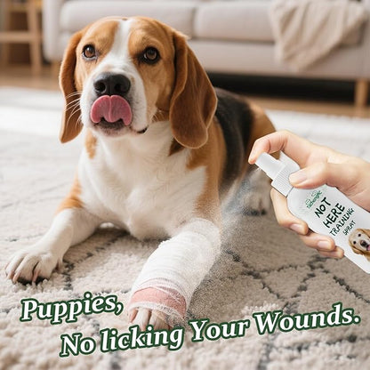 No Chew Spray for Dogs, Bitter Apple Deterrent to Stop Chewing, Licking and Biting on Furniture, Shoes and Plants, Alcohol Free Puppy Training Aid for Indoor and Outdoor Use, 2 Pack 100 ml