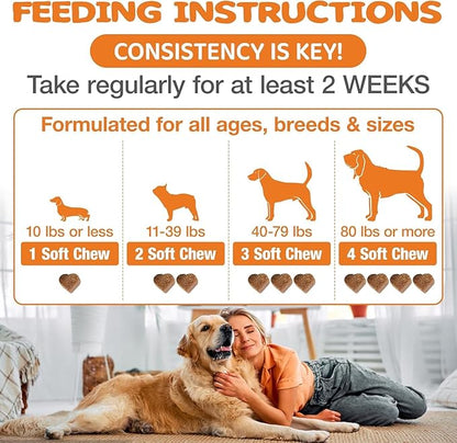 Dog Allergy Relief Chews - Advanced Dog Allergy Chews - Dоg Itching Skin Relief Treatment Pills with Probiotics - Immune Support & Skin Relief for Coat, Seasonal Allergies - 60 Treats Chicken