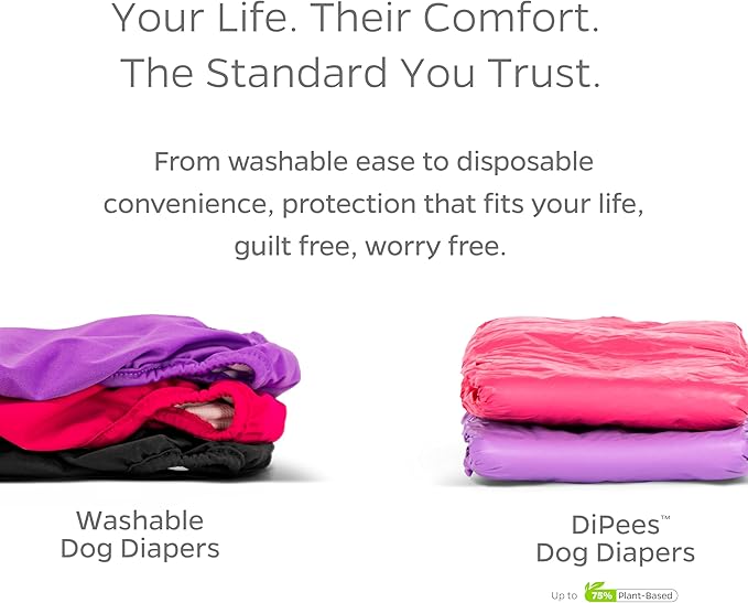 Pet Parents® Washable Dog Diapers (3pack) + Extendrs® of Durable Doggie Diapers, Premium Dog Diapers Female (Large, Daisy)