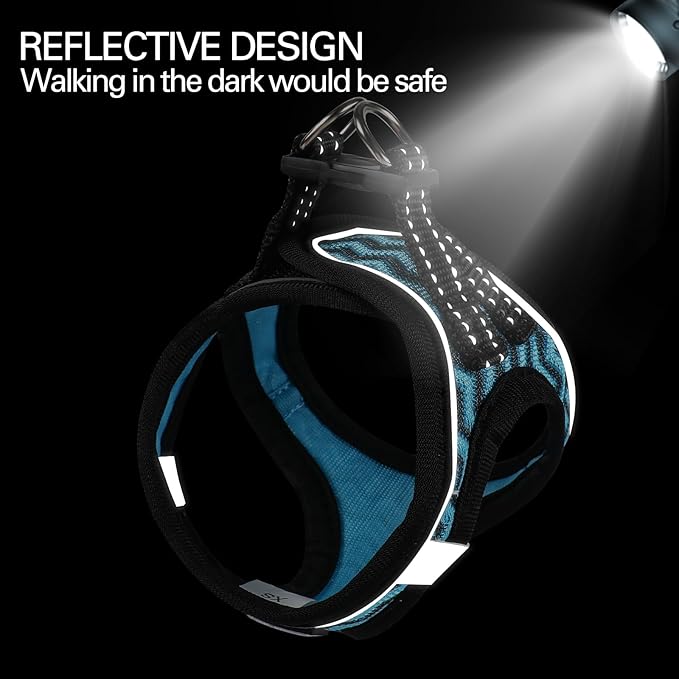 Dog Harness for Small Dogs and Leash Set, Honeycomb Grid, Reflective Lightweight Harness & Anti-Twist Pet Lead (Multi Color, Size: XS-S-M) (M, Blue)