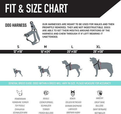 Wolfgang Heavy Duty Adjustable Dog Harness, Pull-Tested to Over 800 lbs for Walking & Training, DigiFloral Print, Medium