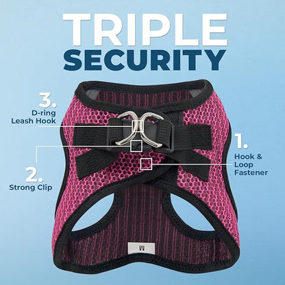 Best Pet Supplies Voyager Step-in Air Harness - All Weather Mesh, Reflective, No Pull Harness for Dogs, Cats - Secure with Hook & Loop Fastener, Buckle, Double D-Rings - Fuchsia 2-Tone, M