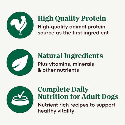 Nutro Hearty Stew Canned Wet Dog Food, Natural Grain Free Dog Food Wet Cuts in Gravy Meaty Lamb with Green Bean & Carrot Stew, 12.5 oz Cans (12 Count, Pack of 1)
