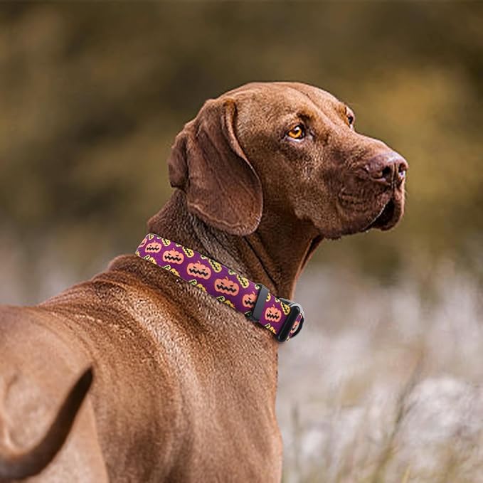 QQPETS Adjustable Soft Dog Collar: Print Flower Pink Multicolor Cute Patterns for XS Small Medium Large Pet Girl Boy Puppy Walking Running Training