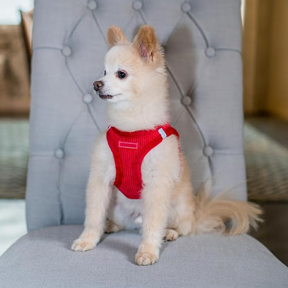 Best Pet Supplies - All Weather Plush, Reflective, No Pull Harness for Small, Medium Dogs, Cats - Secure with Hook & Loop Fastener, Buckle, Double D-Rings - Red Corduroy, XS