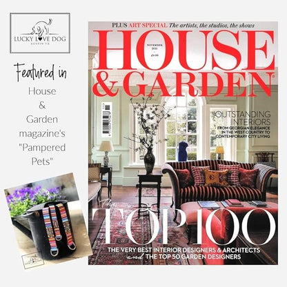 Lucky Love Dog Tropical Fish Pattern Martingale Collar and Leash Set, Blue Color No Slip Collars for Small Dogs, Great for Whippets, Greyhounds, and More (Mackey, Small - Combo)
